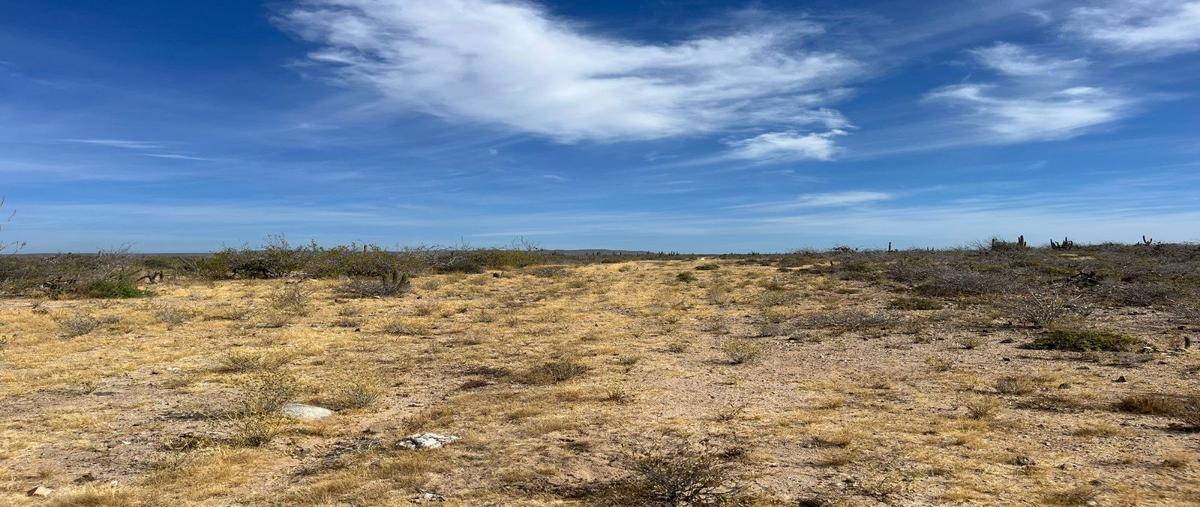 Foto de terreno habitacional en venta en  , agua blanca, la paz, baja california sur, 28092569 No. 02