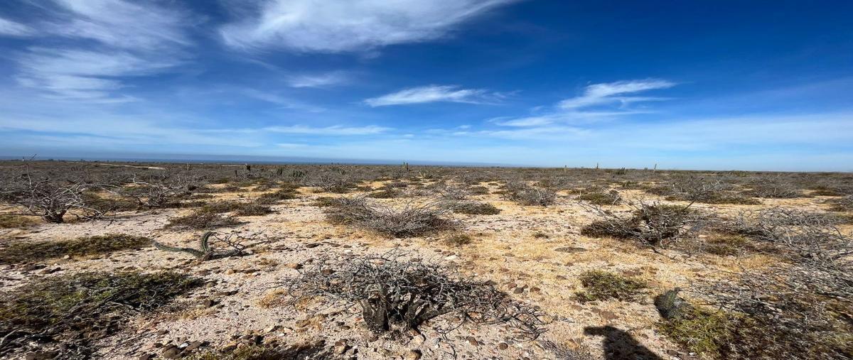Foto de terreno habitacional en venta en  , agua blanca, la paz, baja california sur, 28092569 No. 05