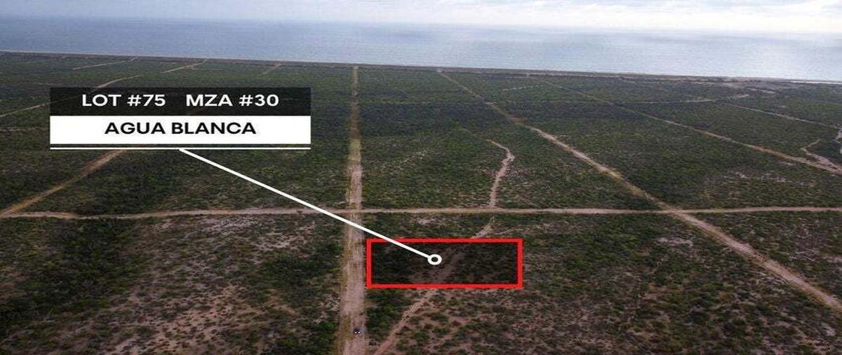 Foto de terreno habitacional en venta en  , agua blanca, la paz, baja california sur, 0 No. 04
