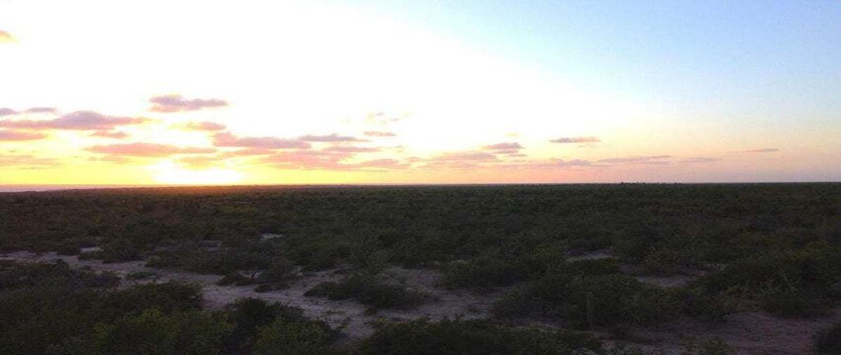 Foto de terreno habitacional en venta en  , agua blanca, la paz, baja california sur, 0 No. 05