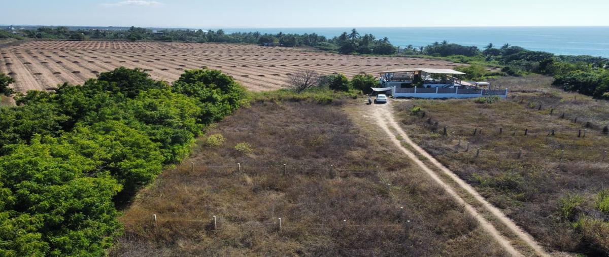 Foto de terreno habitacional en venta en agua blanca , puerto escondido (puerto escondido), san pedro mixtepec -dto. 22 -, oaxaca, 31004243 No. 04