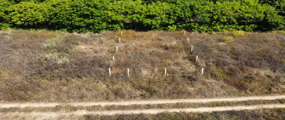 Foto de terreno habitacional en venta en agua blanca , puerto escondido (puerto escondido), san pedro mixtepec -dto. 22 -, oaxaca, 31004243 No. 05