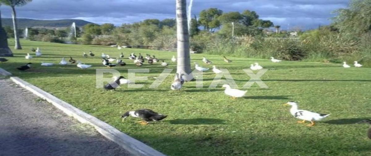 Foto de terreno habitacional en venta en agua brava s n, cumbres del lago, querétaro, querétaro, 0 No. 03