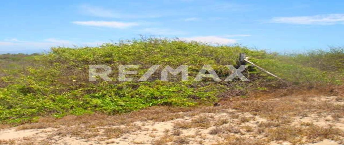 Foto de terreno comercial en agua dulce, barra de potosí , barra de potosí, petatlán, guerrero, 30527471 foto 05 Foto de terreno comercial en venta en agua dulce, barra de potosí , barra de potosí, petatlán, guerrero, 30527471 No. 05