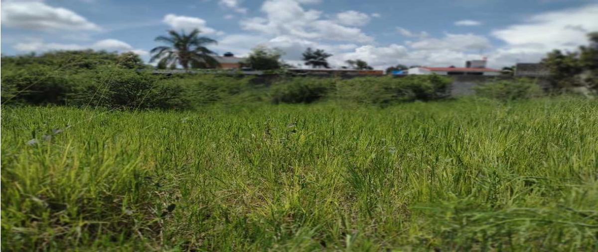 Foto de terreno habitacional en venta en  , agua fría, jiutepec, morelos, 25535278 No. 04
