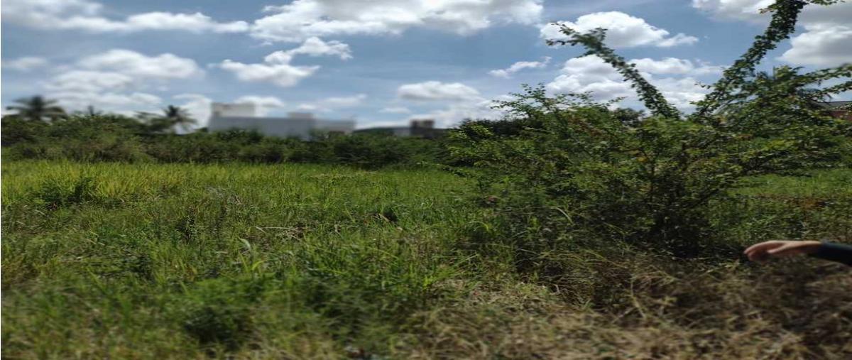 Foto de terreno habitacional en venta en  , agua fría, jiutepec, morelos, 25535278 No. 05