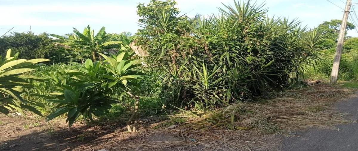 Foto de terreno habitacional en venta en agua nieve 16, la gloria, medellín de bravo, veracruz de ignacio de la llave, 0 No. 03