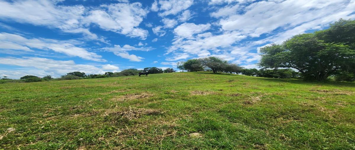 Foto de terreno habitacional en venta en  , agua nueva, tempoal, veracruz de ignacio de la llave, 0 No. 03