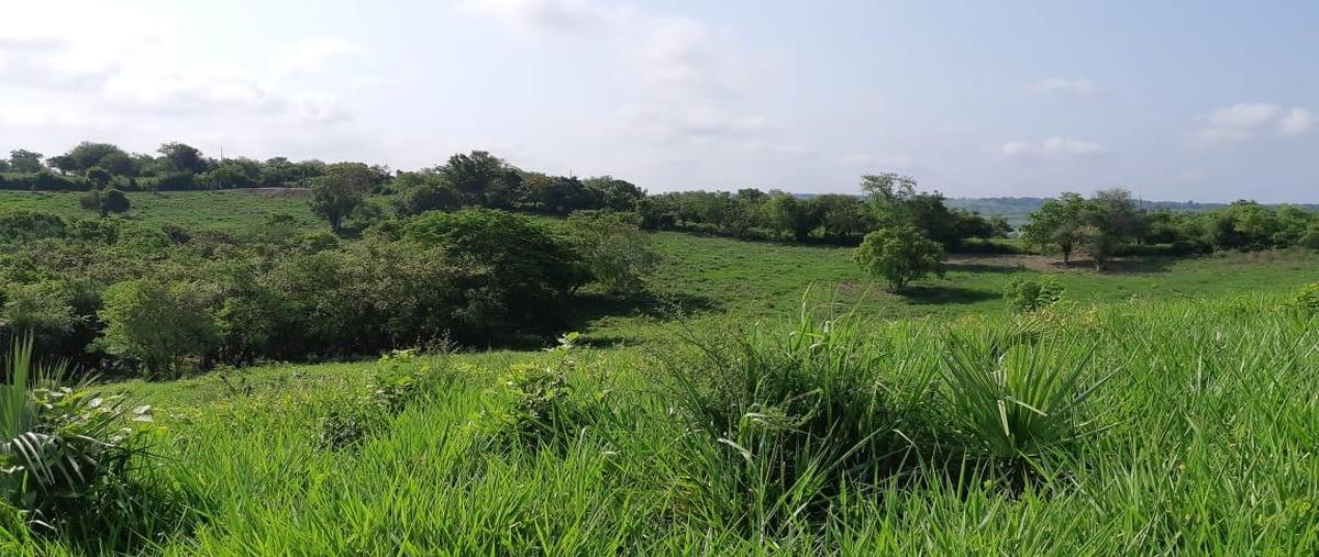 Foto de terreno habitacional en venta en  , agua nueva, tempoal, veracruz de ignacio de la llave, 0 No. 04