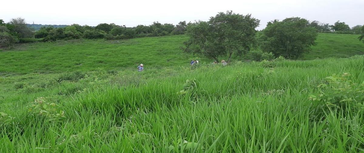 Foto de terreno habitacional en venta en  , agua nueva, tempoal, veracruz de ignacio de la llave, 0 No. 05