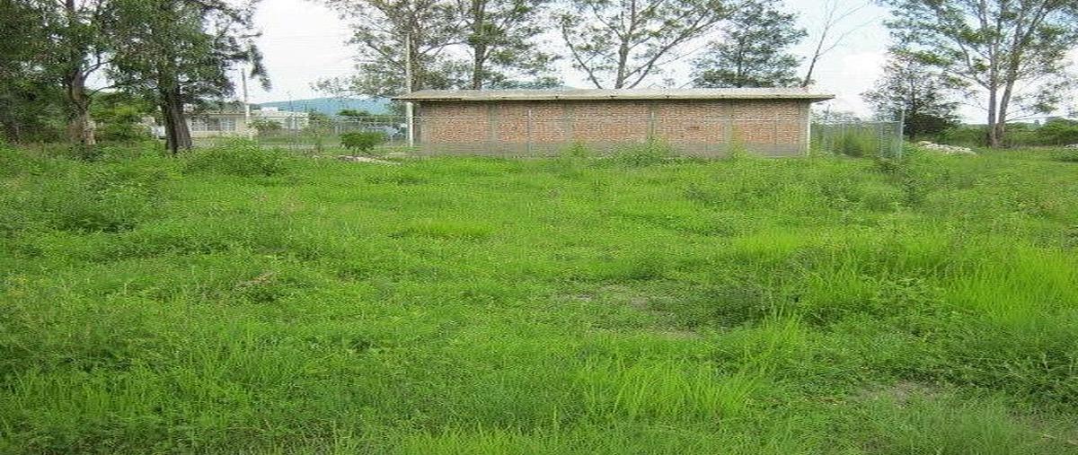 Foto de terreno habitacional en venta en agua profunda , agua escondida, ixtlahuacán de los membrillos, jalisco, 0 No. 04