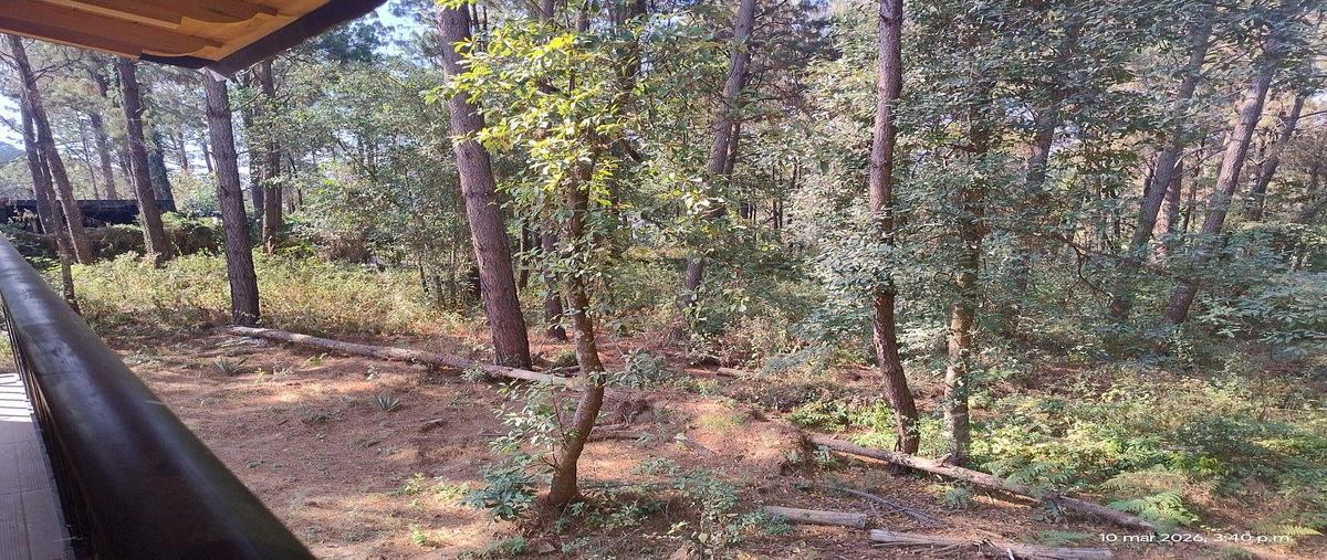 Foto de casa en renta en aguacate , cerro gordo, valle de bravo, méxico, 0 No. 03