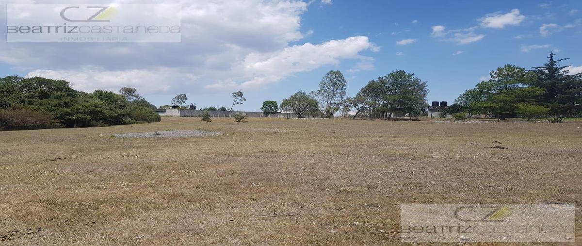 Foto de terreno habitacional en venta en  , aguacatitla (el campamento), huasca de ocampo, hidalgo, 0 No. 03