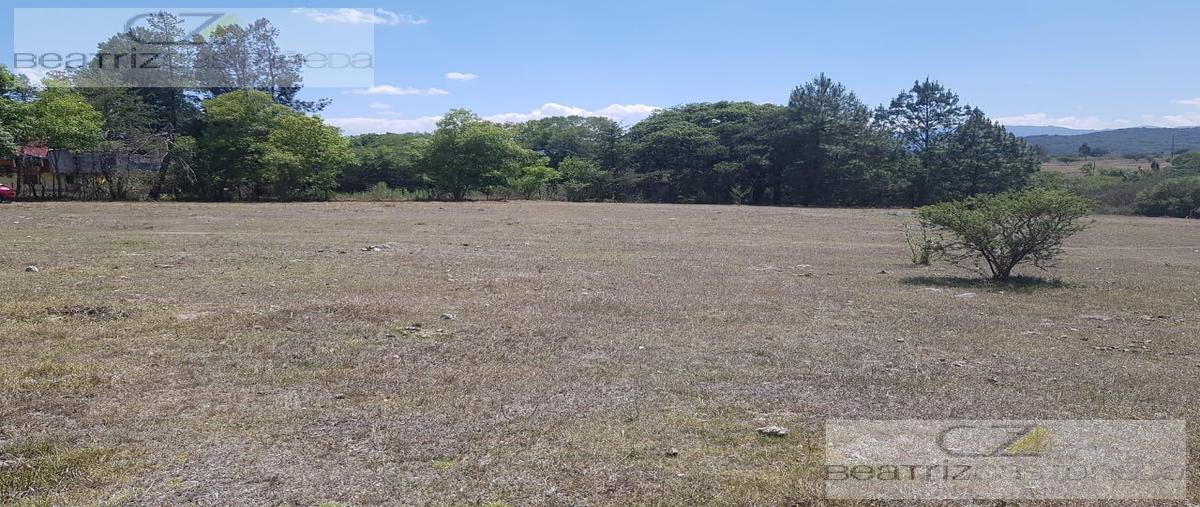 Foto de terreno habitacional en venta en  , aguacatitla (el campamento), huasca de ocampo, hidalgo, 0 No. 04