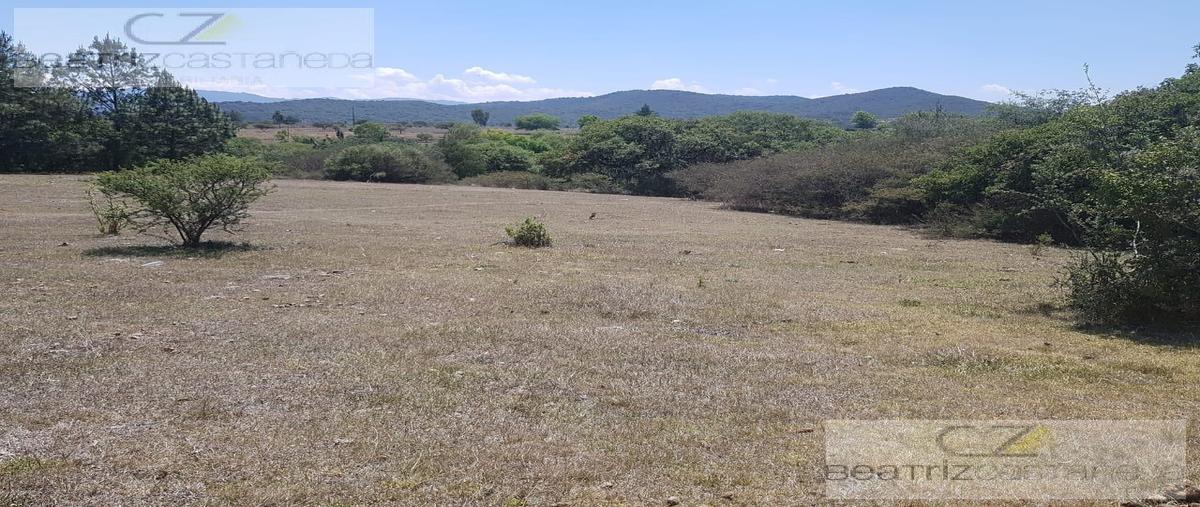 Foto de terreno habitacional en venta en  , aguacatitla (el campamento), huasca de ocampo, hidalgo, 0 No. 05