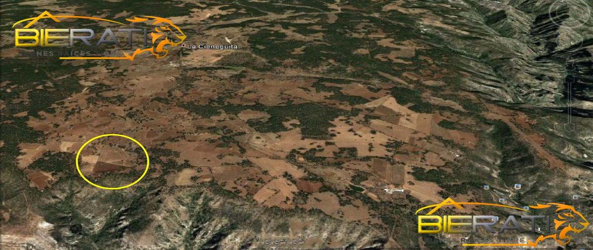 Foto de terreno habitacional en , aguachochi, guachochi, chihuahua, 26955930 foto 04 Foto de terreno habitacional en venta en , aguachochi, guachochi, chihuahua, 26955930 No. 04