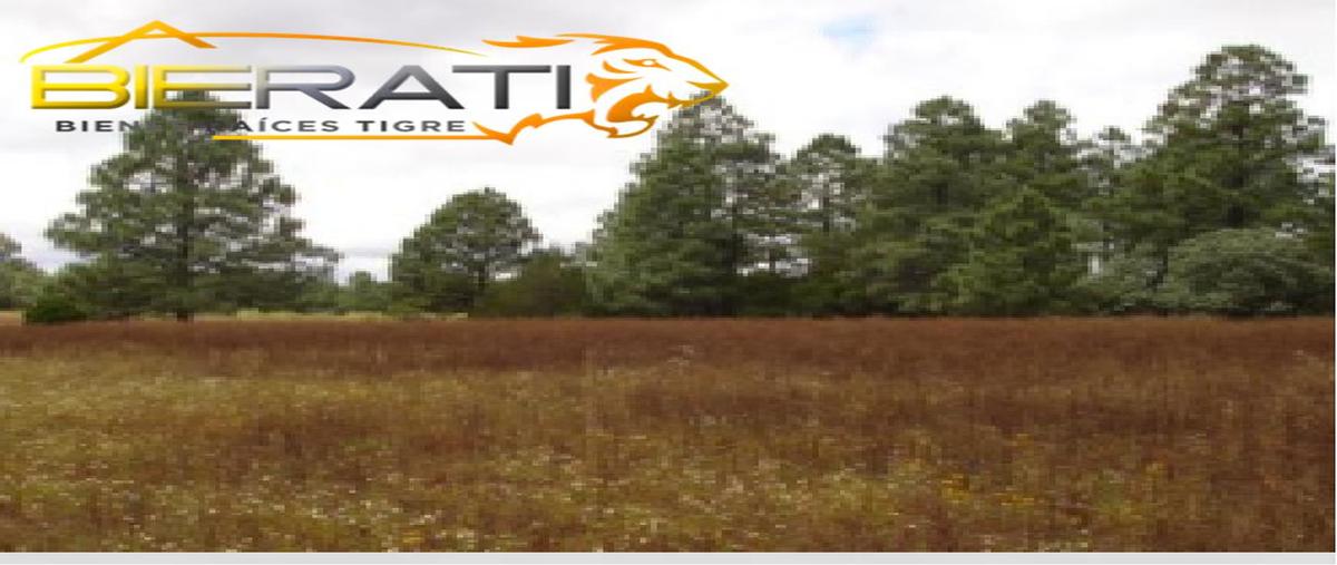 Foto de terreno habitacional en , aguachochi, guachochi, chihuahua, 0 foto 05 Foto de terreno habitacional en venta en , aguachochi, guachochi, chihuahua, 0 No. 05