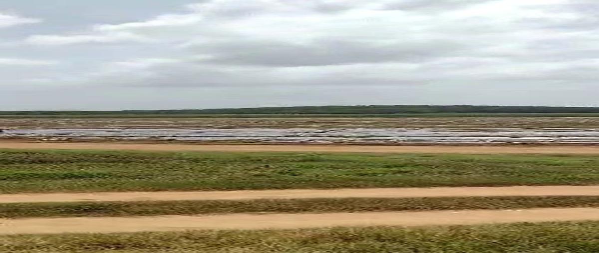 Foto de terreno habitacional en venta en aguada la celosa , blanca flor, tzucacab, yucatán, 30906438 No. 03