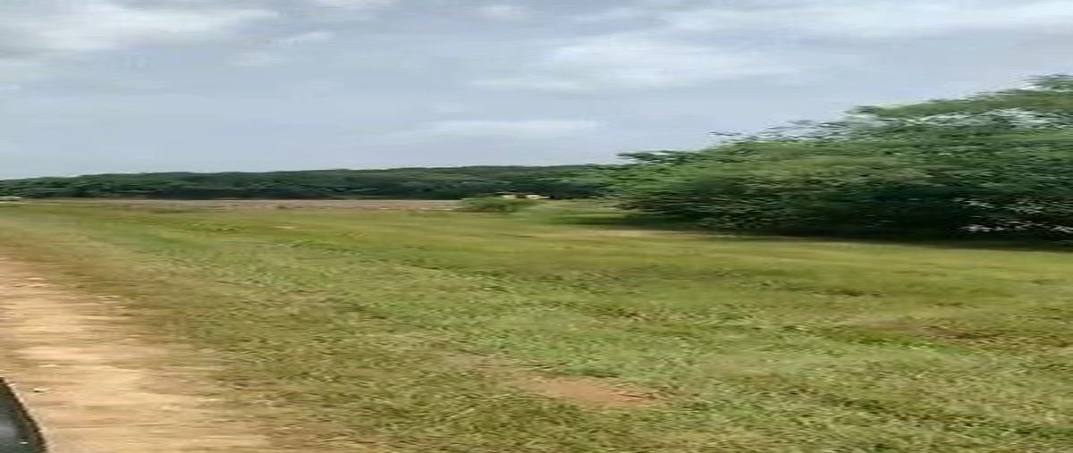 Foto de terreno habitacional en venta en aguada la celosa , blanca flor, tzucacab, yucatán, 30906438 No. 05