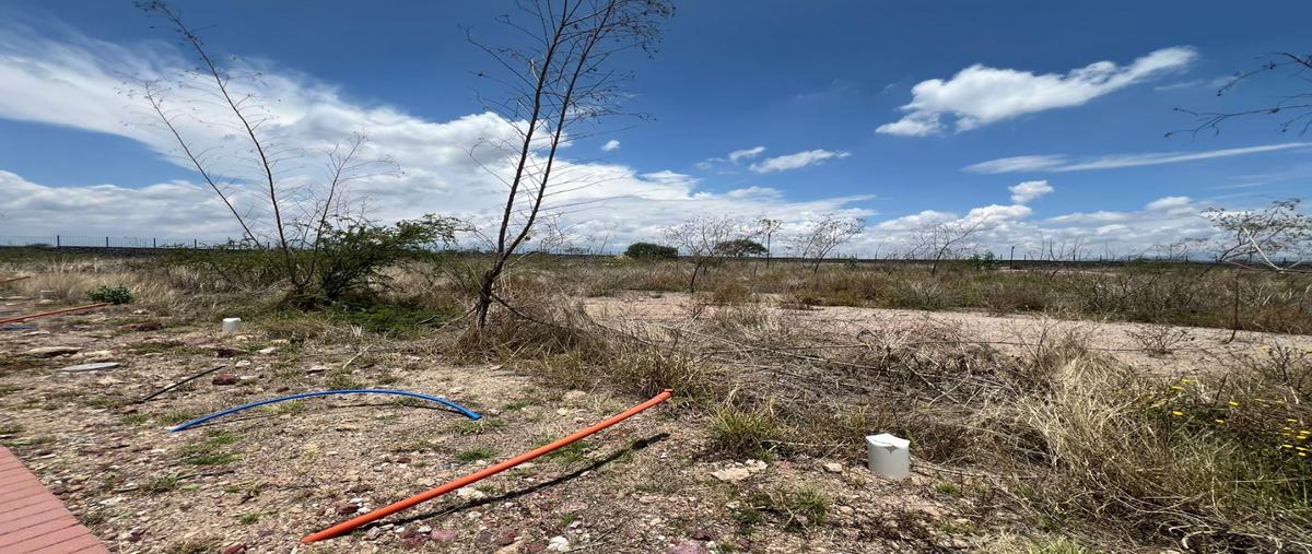 Foto de terreno habitacional en venta en  , aguaje de espejo, apaseo el alto, guanajuato, 28241347 No. 05
