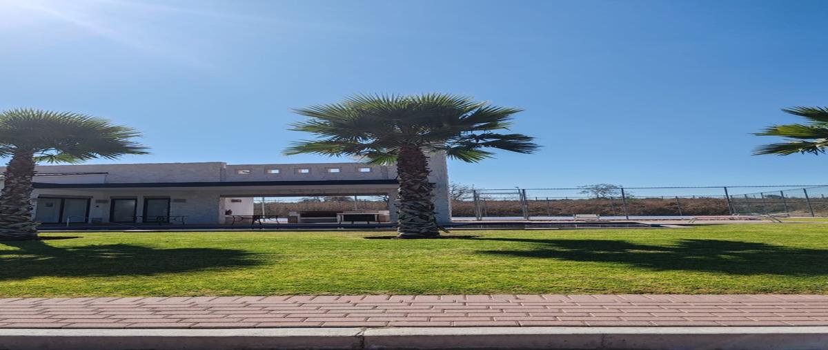 Foto de terreno habitacional en venta en  , aguaje de espejo, apaseo el alto, guanajuato, 29488047 No. 03