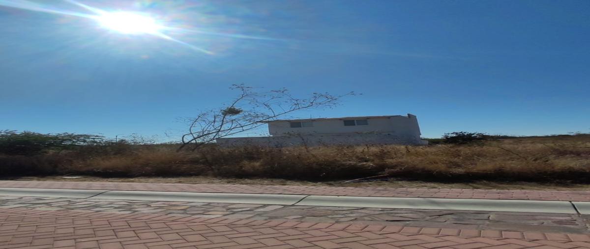 Foto de terreno habitacional en venta en  , aguaje de espejo, apaseo el alto, guanajuato, 29488047 No. 05