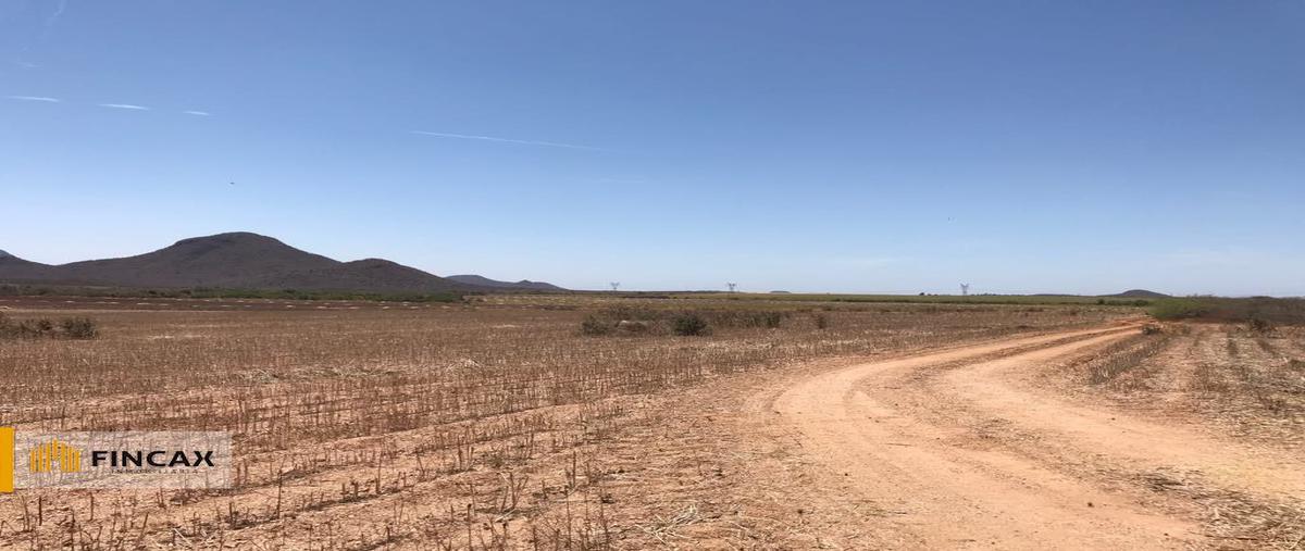 Foto de terreno comercial en venta en - , aguapepe de los gallardo, mocorito, sinaloa, 0 No. 05