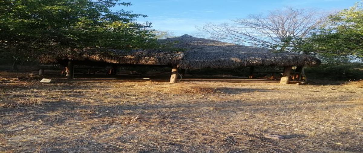 Foto de terreno habitacional en venta en aguapepito , el alto del taballal, salvador alvarado, sinaloa, 0 No. 03