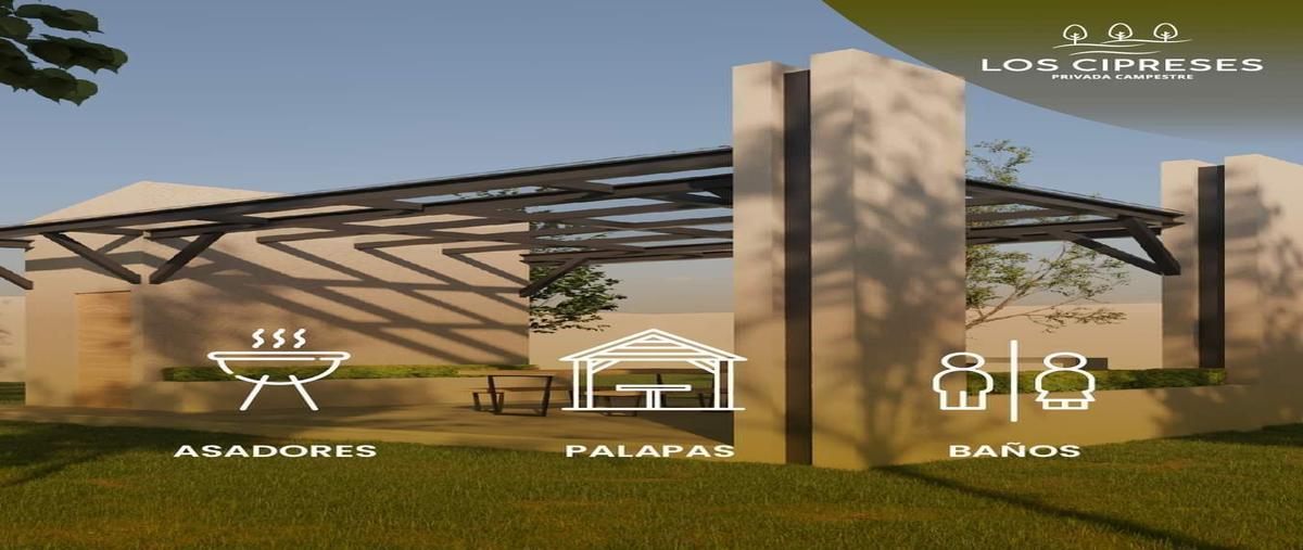 Foto de terreno habitacional en venta en  , aguascalientes 2000, aguascalientes, aguascalientes, 25541022 No. 04