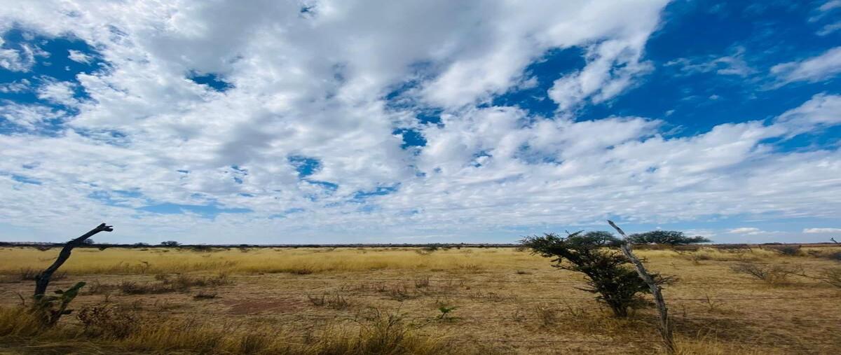 Foto de terreno habitacional en venta en aguascalientes , aguascalientes 2000, aguascalientes, aguascalientes, 0 No. 03