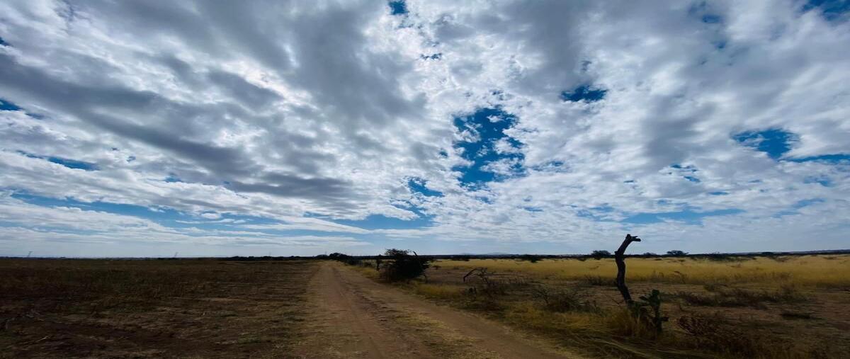 Foto de terreno habitacional en venta en aguascalientes , aguascalientes 2000, aguascalientes, aguascalientes, 0 No. 05