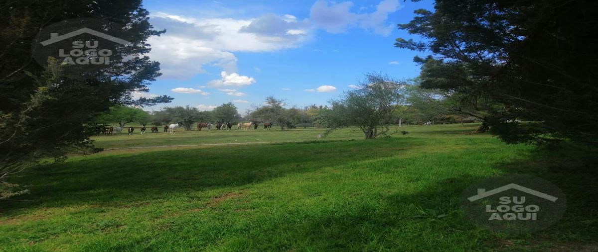 Foto de terreno habitacional en venta en  , aguascalientes centro, aguascalientes, aguascalientes, 26330259 No. 04