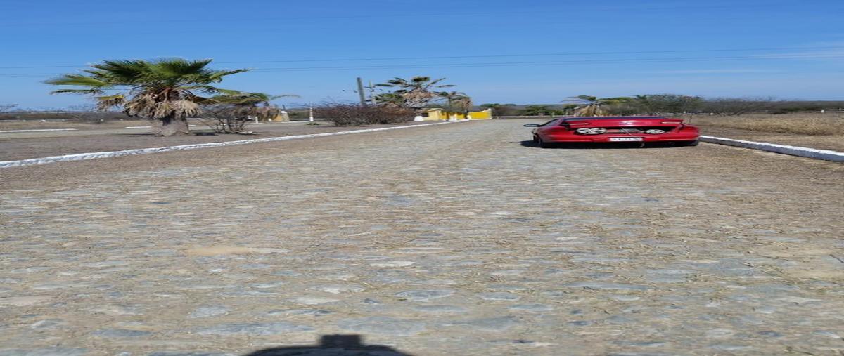 Foto de terreno habitacional en águilas , huertas estación, montemorelos, nuevo león, 29066074 foto 05 Foto de terreno habitacional en venta en águilas , huertas estación, montemorelos, nuevo león, 29066074 No. 05