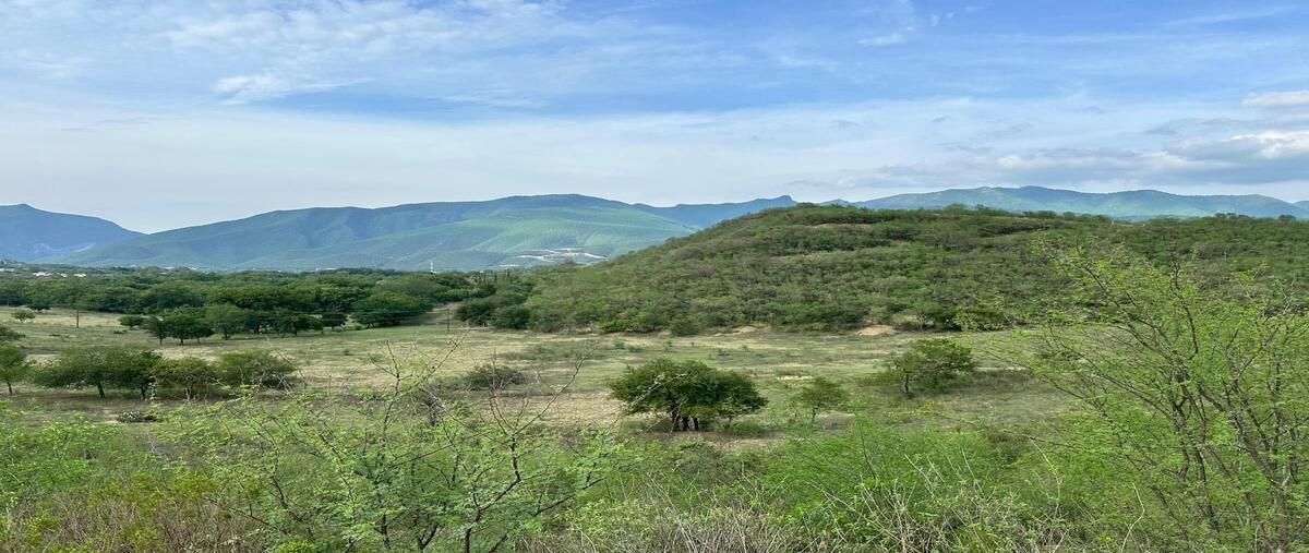 Foto de terreno habitacional en venta en aguirre , cieneguilla, santiago, nuevo león, 29978358 No. 05