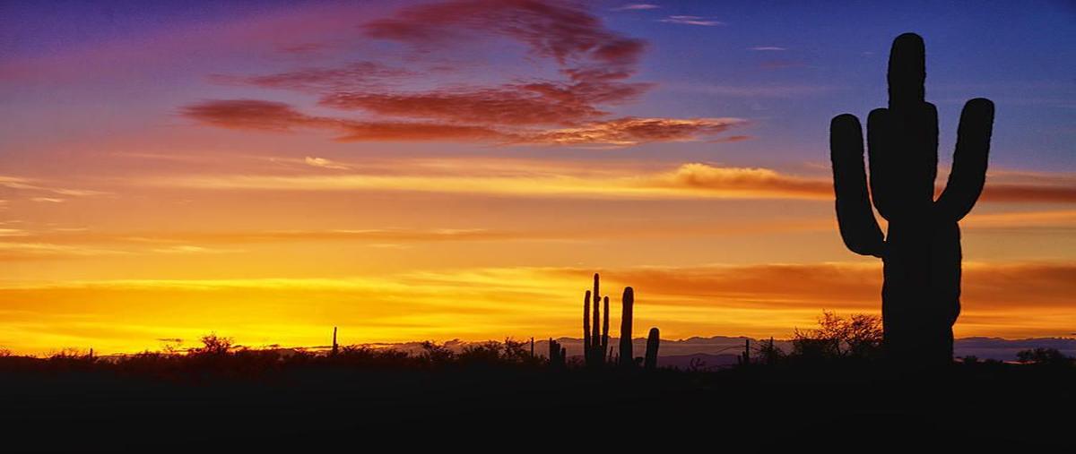 Foto de terreno habitacional en venta en agustin olachea aviles , el centenario, la paz, baja california sur, 0 No. 03