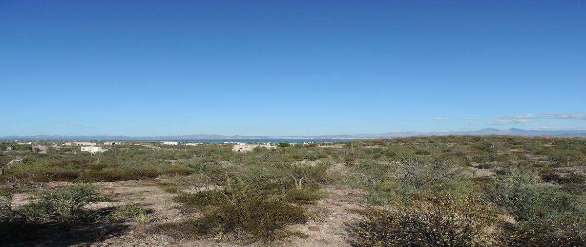 Foto de terreno habitacional en venta en agustin olachea aviles , el centenario, la paz, baja california sur, 0 No. 04