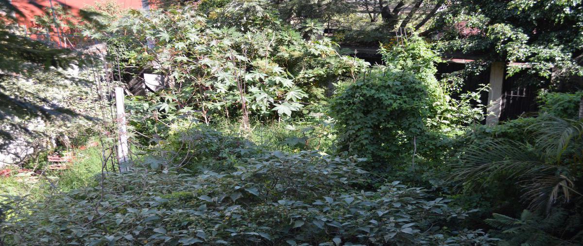 Foto de terreno habitacional en venta en  , ahuatepec, cuernavaca, morelos, 0 No. 05