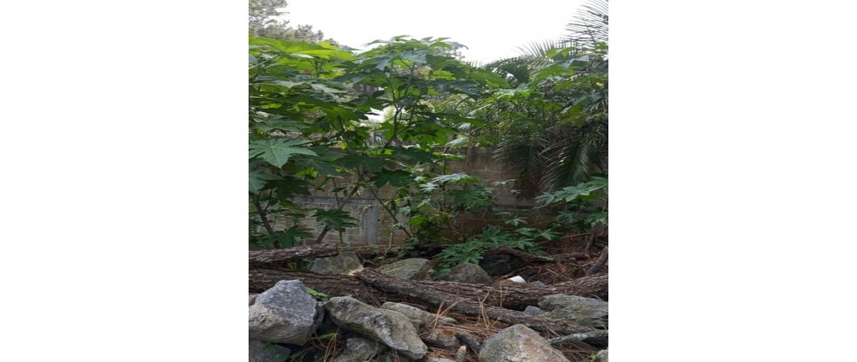 Foto de terreno habitacional en venta en  , ahuatepec, cuernavaca, morelos, 28463234 No. 03