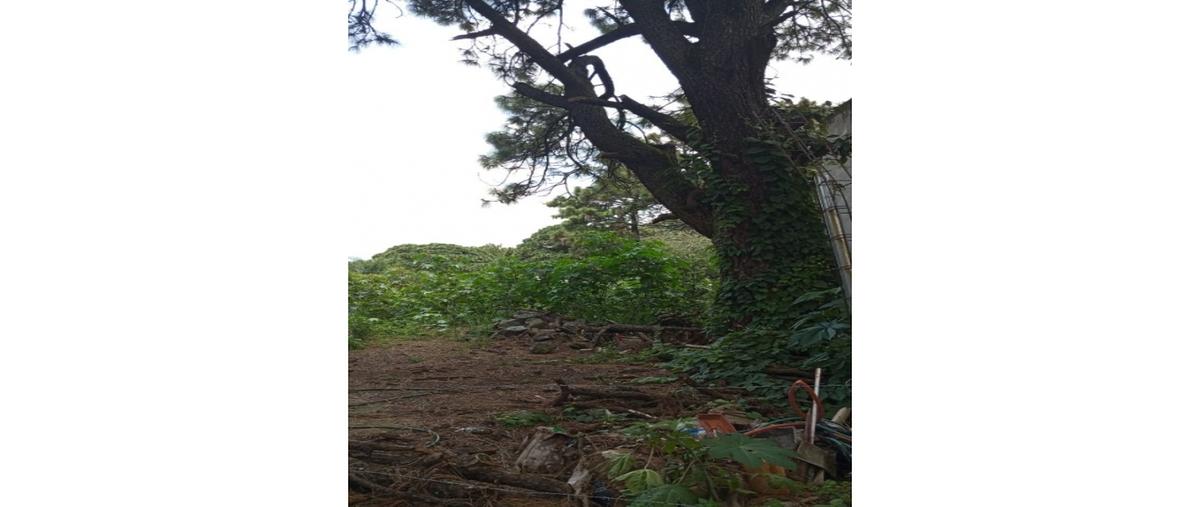 Foto de terreno habitacional en venta en  , ahuatepec, cuernavaca, morelos, 28463234 No. 05