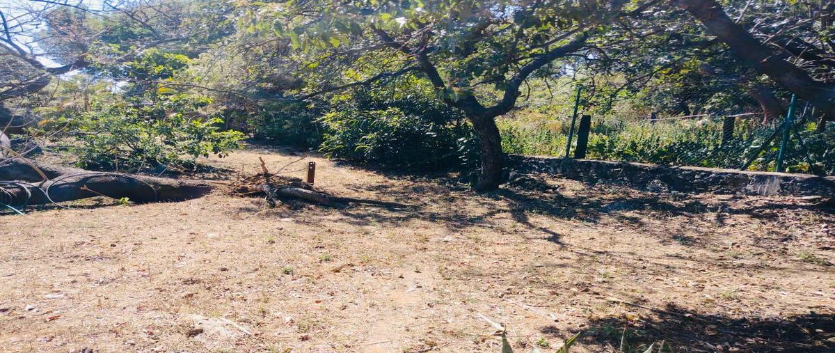 Foto de terreno habitacional en venta en  , ahuatepec, cuernavaca, morelos, 0 No. 03
