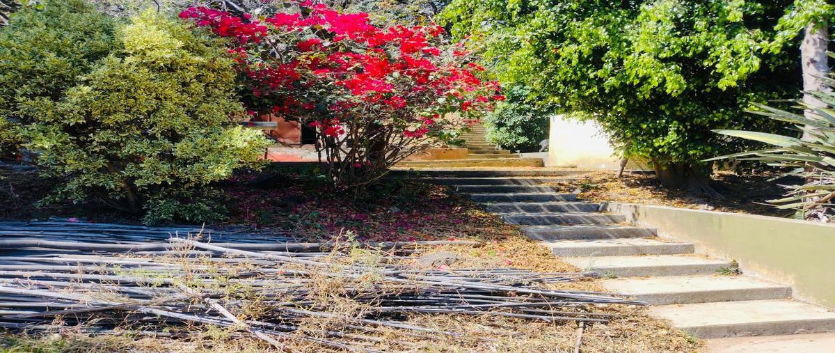 Foto de terreno habitacional en venta en  , ahuatepec, cuernavaca, morelos, 0 No. 04