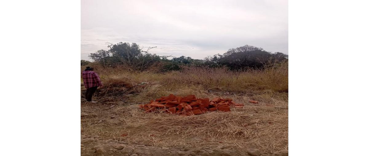Foto de terreno habitacional en venta en  , ahuatlán tzompantle, cuernavaca, morelos, 0 No. 05