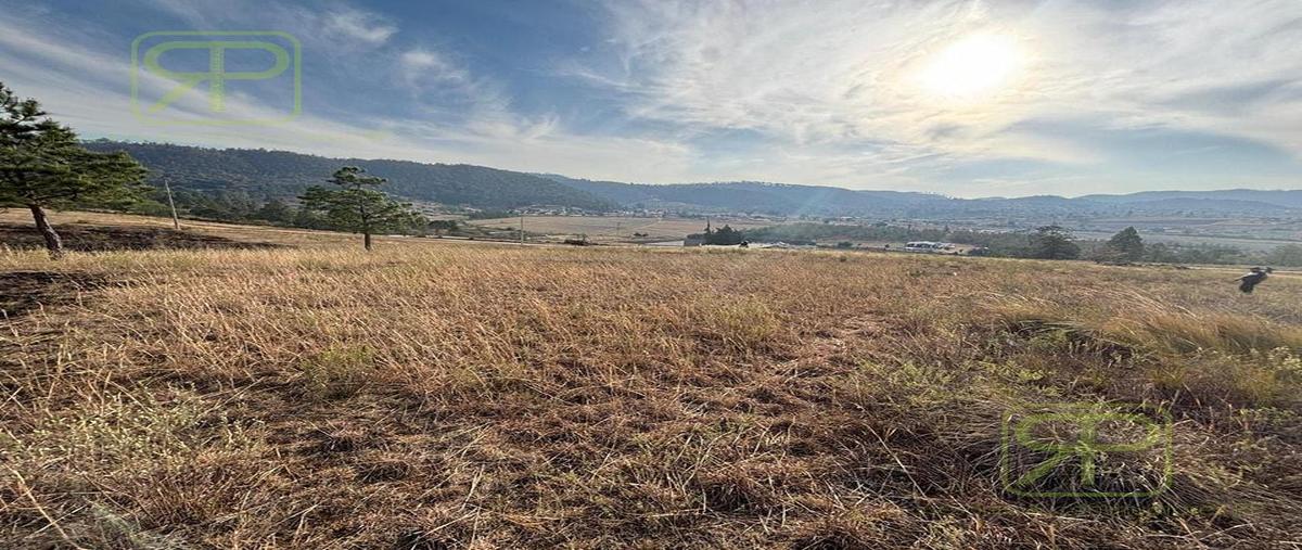 Foto de terreno habitacional en venta en  , ahuazotepec, ahuazotepec, puebla, 29820348 No. 03