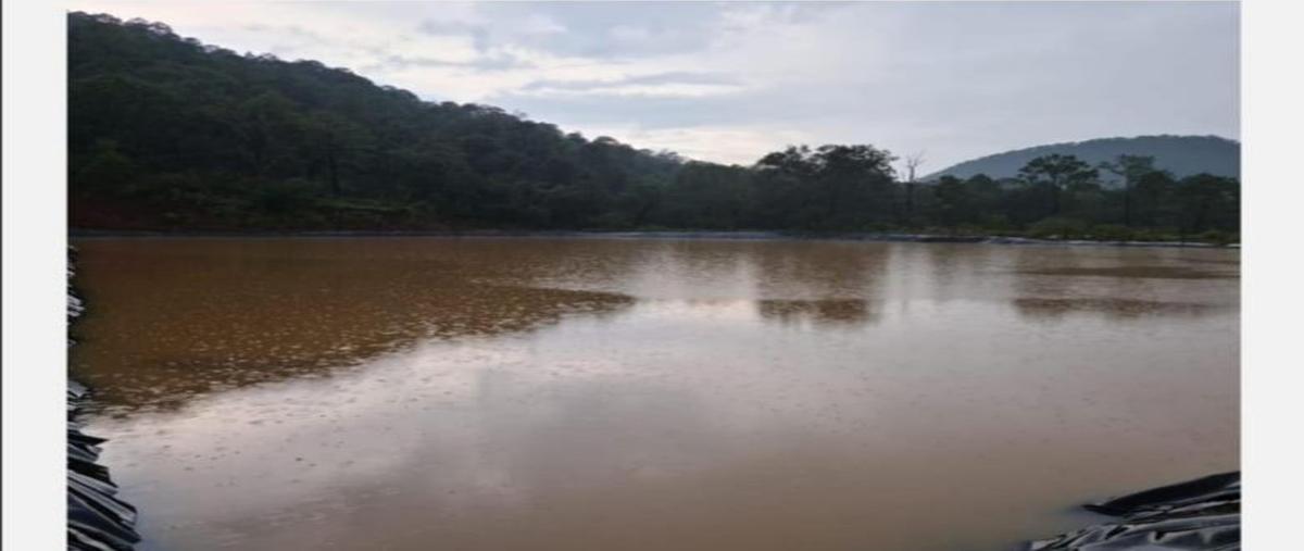 Foto de rancho en venta en ahuehuete , copandaro, salvador escalante, michoacán de ocampo, 22833361 No. 05