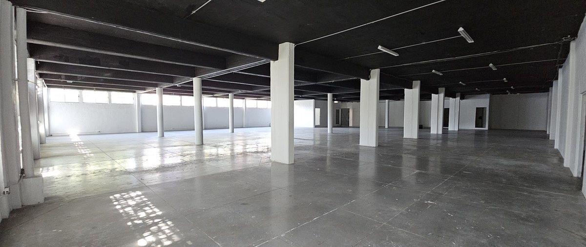 Foto de bodega en , ahuehuetes anahuac, miguel hidalgo, df / cdmx, 30617943 foto 01 Foto de bodega en renta en , ahuehuetes anahuac, miguel hidalgo, df / cdmx, 30617943 No. 01