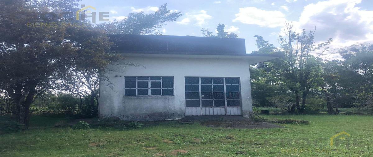 Foto de terreno habitacional en venta en  , ahueyahualco, altotonga, veracruz de ignacio de la llave, 0 No. 03