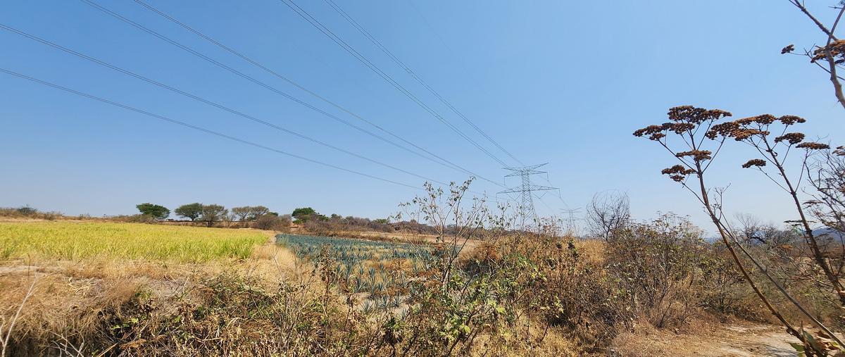Foto de terreno industrial en venta en ahuisculco , ahuisculco, tala, jalisco, 28184283 No. 03