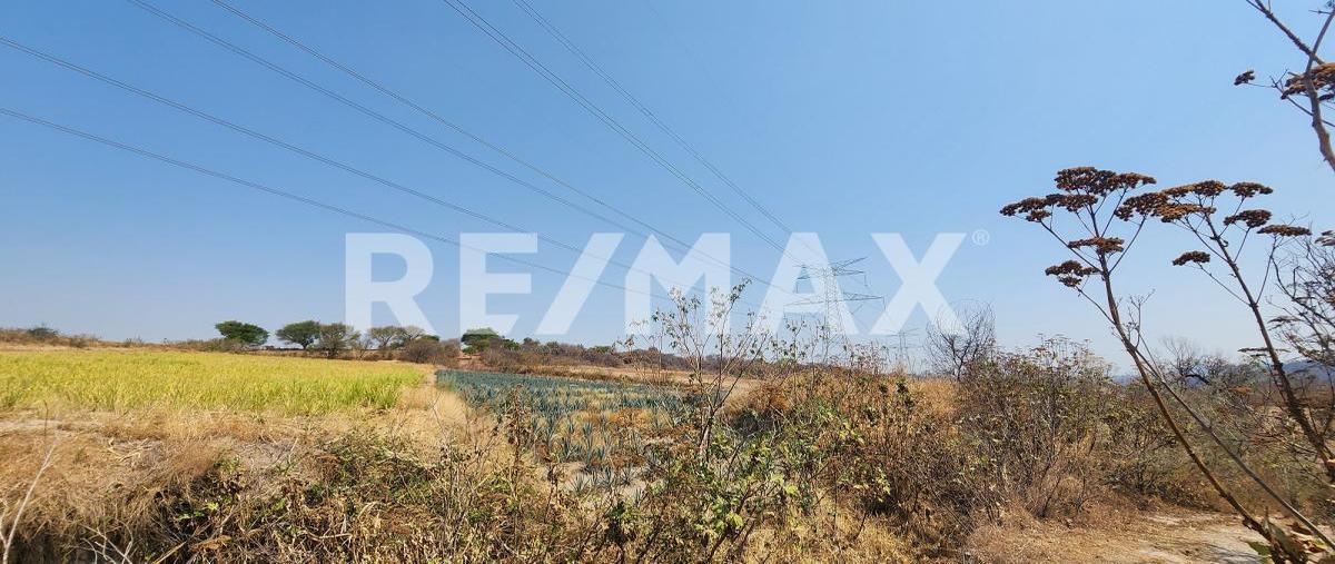 Foto de terreno industrial en venta en ahuisculco , ahuisculco, tala, jalisco, 0 No. 03