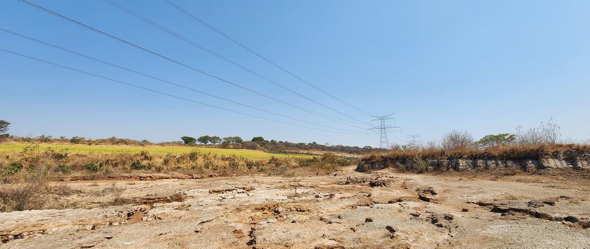 Foto de terreno industrial en venta en ahuisculco , ahuisculco, tala, jalisco, 28184283 No. 04