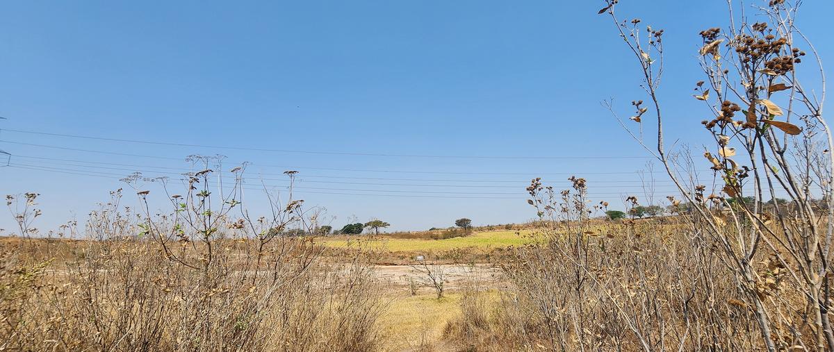 Foto de terreno industrial en venta en ahuisculco , ahuisculco, tala, jalisco, 28184283 No. 05
